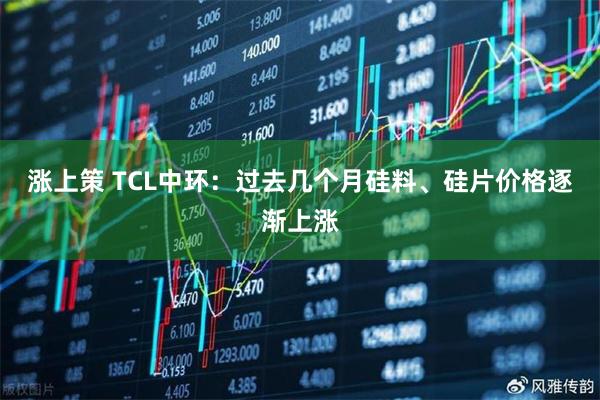 涨上策 TCL中环：过去几个月硅料、硅片价格逐渐上涨